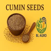 CUMIN SEEDS 